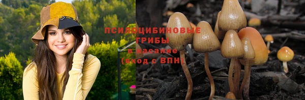 меф VHQ Дмитриев