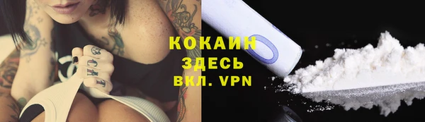 меф VHQ Дмитриев
