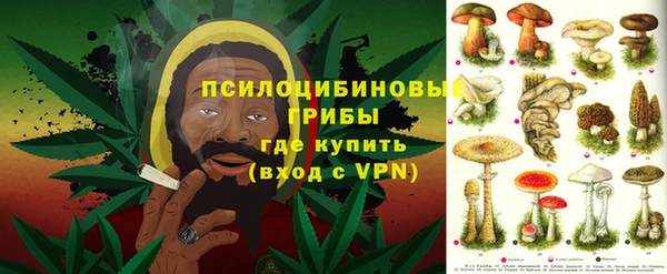 бошки Дмитровск