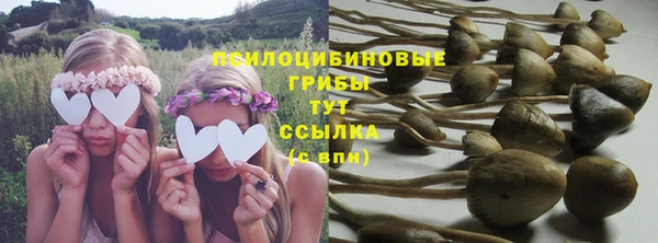 бошки Дмитровск