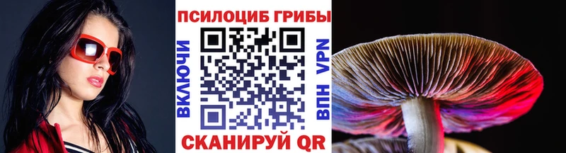 Галлюциногенные грибы Magic Shrooms  Купить где  Кашин 